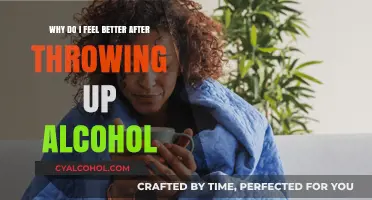 Vomiting Alcohol: Relief or Risk?