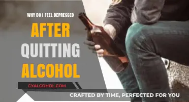 Post-Alcohol Blues: Understanding Depression After Quitting Drinking