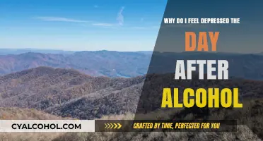 Alcohol-induced depression: Understanding the day-after blues