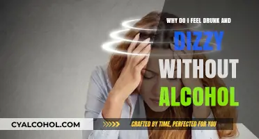 Drunk and Dizzy: What's Really Going On?