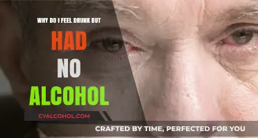 Drunk Without Drinking: Why the Fuzzy Head?