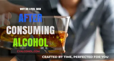 Why Alcohol Makes You Feel Sick: Understanding the Causes and Remedies