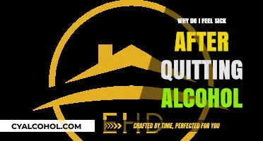 Post-Alcohol Nausea: Understanding Withdrawal Symptoms After Quitting Drinking
