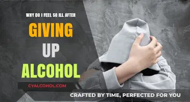 Alcohol Withdrawal: Feeling Ill After Quitting Drinking
