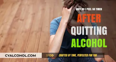 How Quitting Alcohol Leaves You Feeling Exhausted
