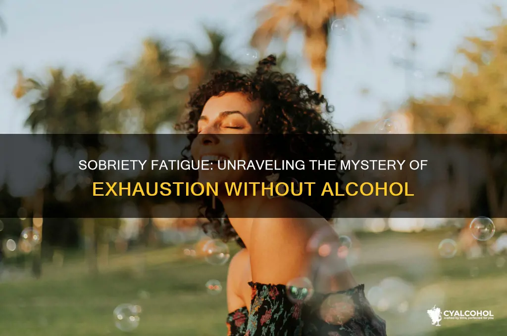 why do i feel so tired without alcohol
