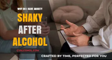 Why Alcohol Triggers Anxiety and Shakes: Understanding the Connection