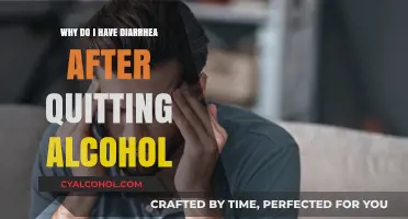Quitting Alcohol and Diarrhea: Understanding Post-Sobriety Digestive Changes