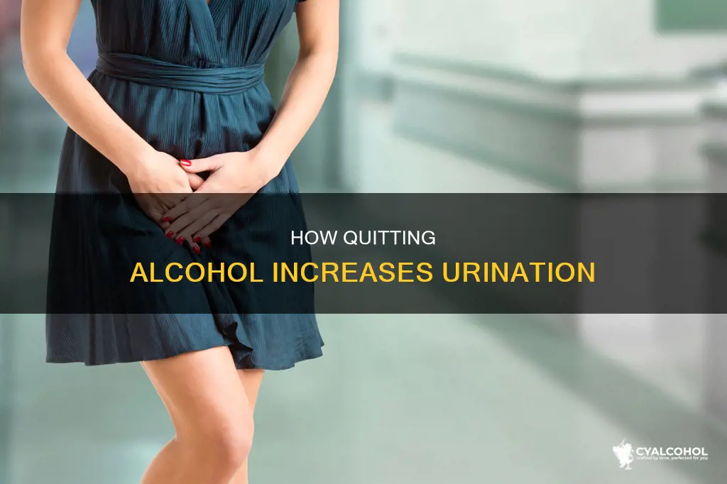 why do i pee more when i quit alcohol