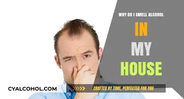 Unusual Alcohol Odor in Your Home? Possible Causes and Solutions