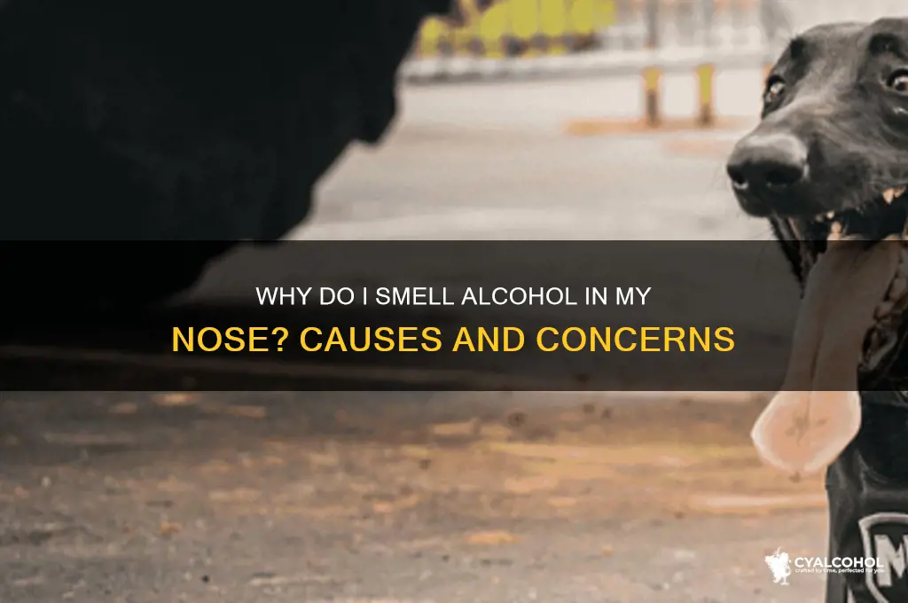 why do i smell alcohol in my nose