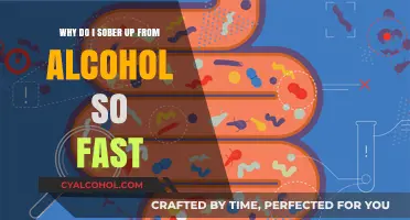 How My Body Quickly Sobers Up After Drinking Alcohol