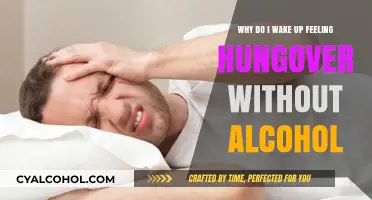 Mysterious Morning Hangovers: Alcohol-Free but Feeling Rough