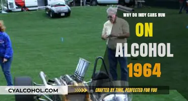 Indy Cars and Alcohol: The 1964 Fuel Choice Explained
