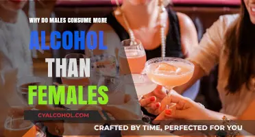 Gender Gap in Drinking: Why Men Outpace Women in Alcohol Consumption