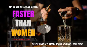 Gender and Alcohol Metabolism: Why Men Process Alcohol Faster Than Women