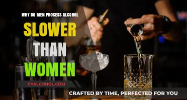 Gender Differences in Alcohol Metabolism: Why Men Process Alcohol Slower