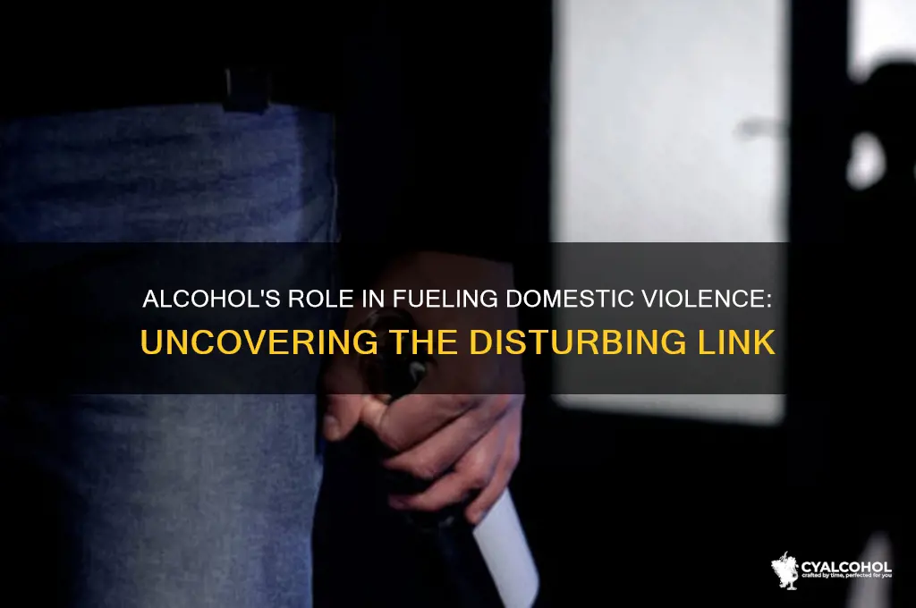 why do most domestic violence cases involve alcohol