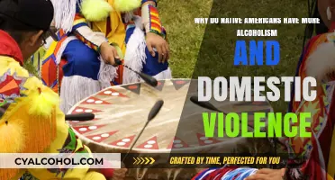 The Plight of Native Americans: Alcoholism and Domestic Violence