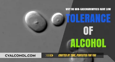 Non-Saccharomyces' Low Alcohol Tolerance: A Genetic Mystery