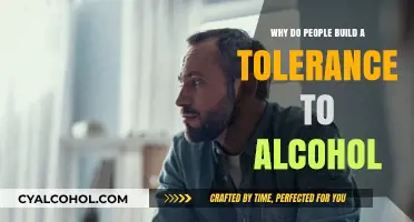 Understanding Alcohol Tolerance: How and Why Our Bodies Adapt Over Time