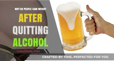 Quitting Alcohol and Weight Gain: Understanding the Surprising Connection