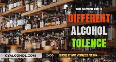 Understanding the Factors Behind Varying Alcohol Tolerance Levels