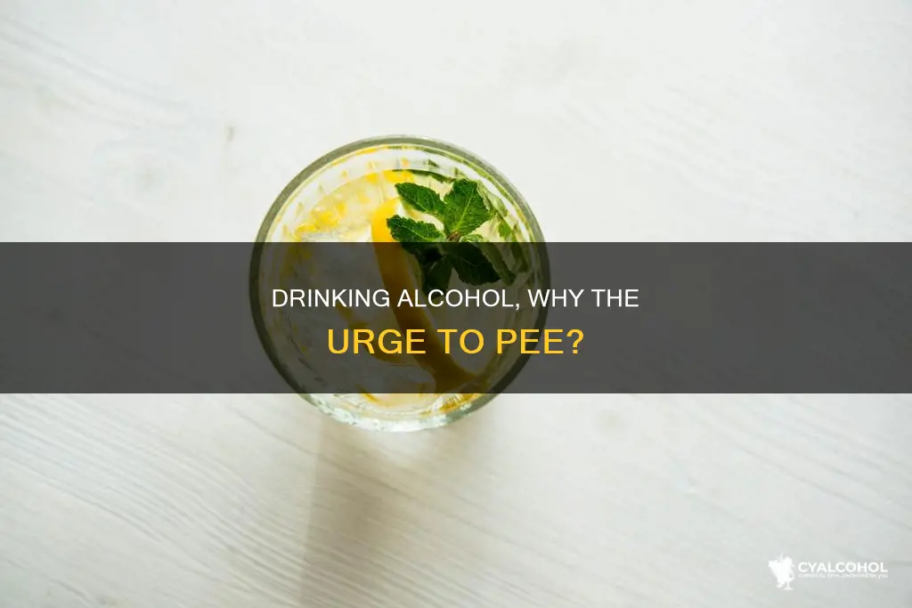 why do people have to pee when deinking alcohol