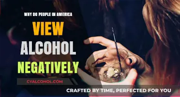 America's Complex Relationship: Why Alcohol Faces Negative Perceptions in the U.S