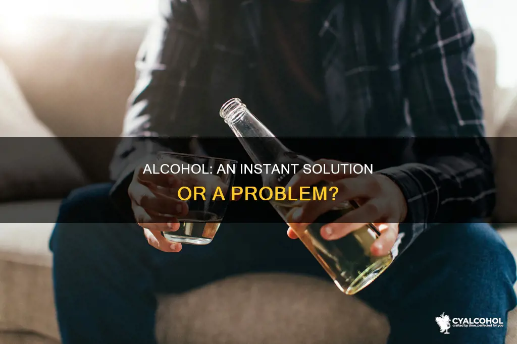 why do people seek solutions when alcohol already is one