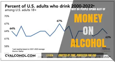 The High Cost of Alcohol: Why Do People Spend So Much?