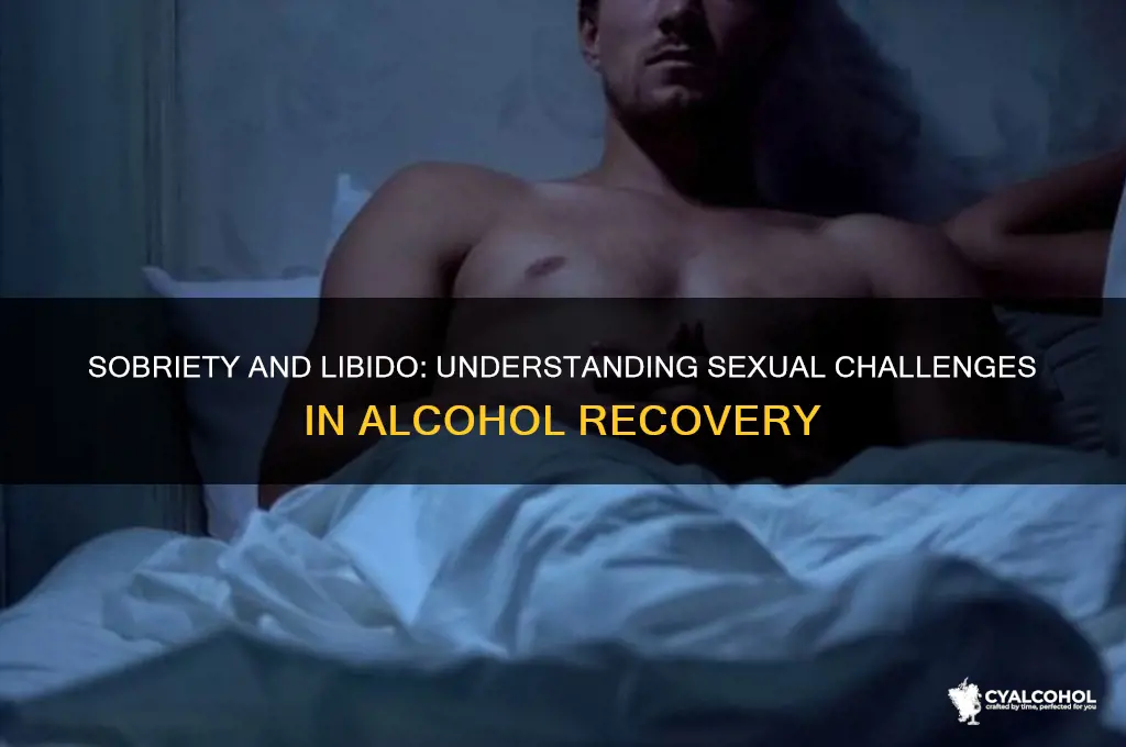 why do recovering alcoholics lose their sex drive