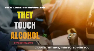 Scorpions, Alcohol: A Lethal Cocktail for Themselves