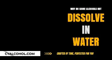 Why Certain Alcohols Resist Dissolution in Water: A Chemical Insight