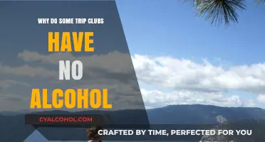 Sober Adventures: Exploring Alcohol-Free Trip Clubs and Their Benefits