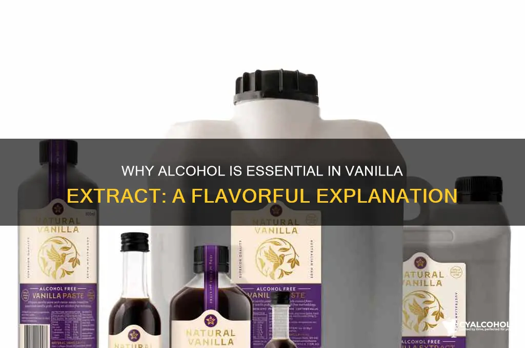 why do they add alcohol to vanilla extract