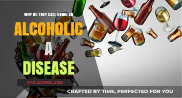 Alcoholism: A Disease That Needs Healing