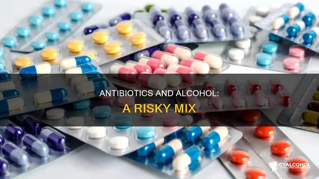 why do they say no alcohol with zephalaxy antibiotics