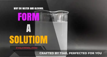 Why Water and Alcohol Mix: The Science Behind Their Solution