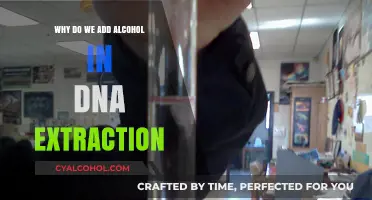 Why Alcohol is Essential in DNA Extraction: A Detailed Explanation