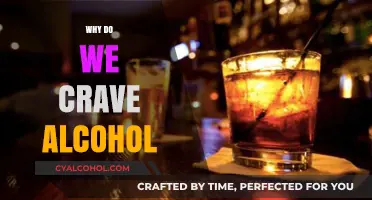Unraveling the Science Behind Our Alcohol Cravings and Why They Persist