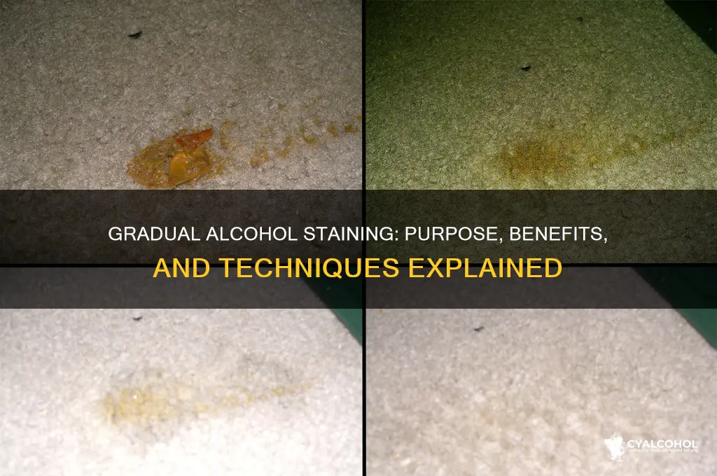 why do we do gradual alcohol for staining