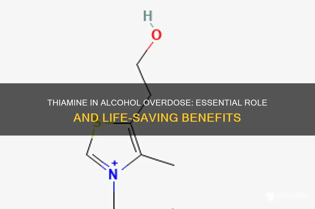 why do we give thiamine in alcohol overdose