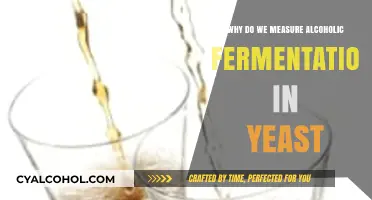 Understanding Alcoholic Fermentation: Why Measure Yeast's Role in Brewing