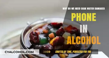 Soaking Wet Phones: Alcohol to the Rescue!