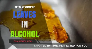 Why Warming Leaves in Alcohol Unlocks Botanical Secrets and Extracts