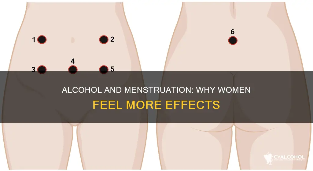 why do women experience higher sensititity to alcohol around menstruation