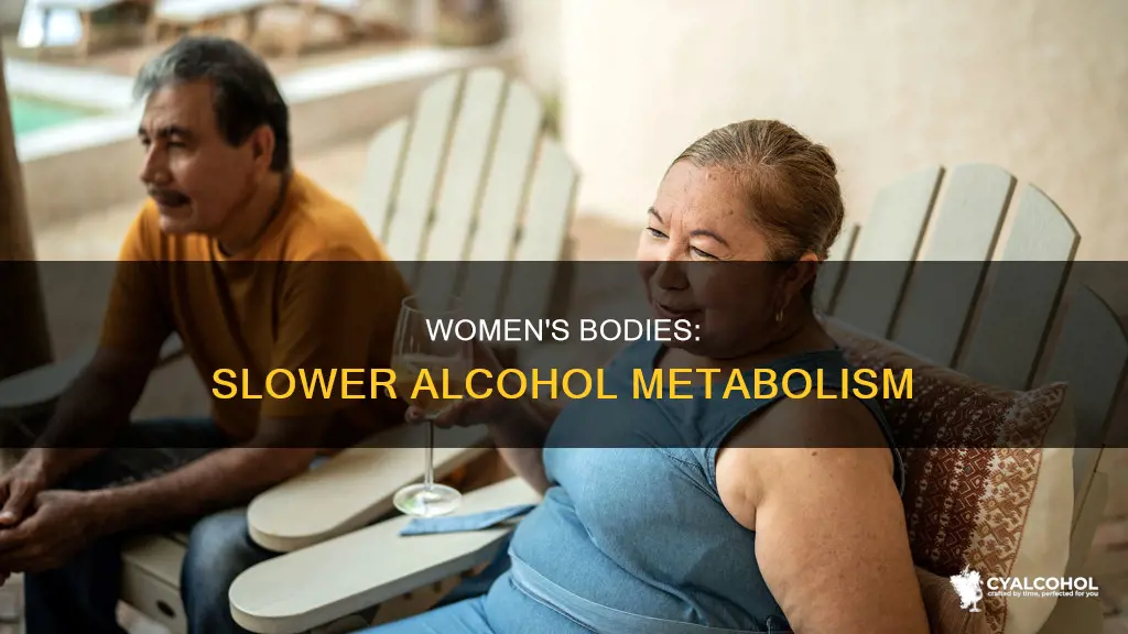 why do women metabolize alcohol less efficiently than men