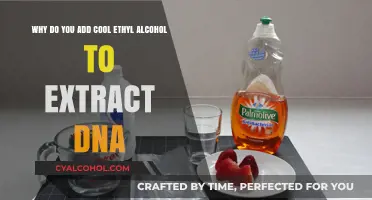 Cool Ethyl Alcohol: Unlocking DNA Extraction Secrets