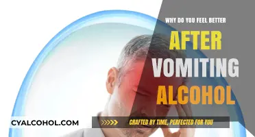 Vomiting Alcohol: Why It Provides Temporary Relief and Recovery Tips